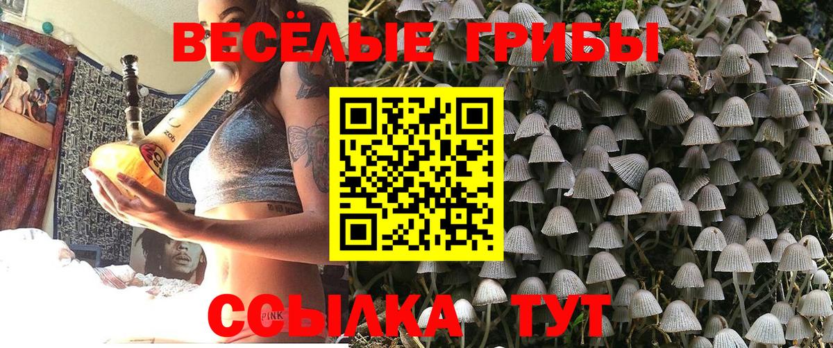 Псилоцибиновые грибы Cubensis  Псилоцибиновые грибы мицелий  Псков  Вход с VPN 